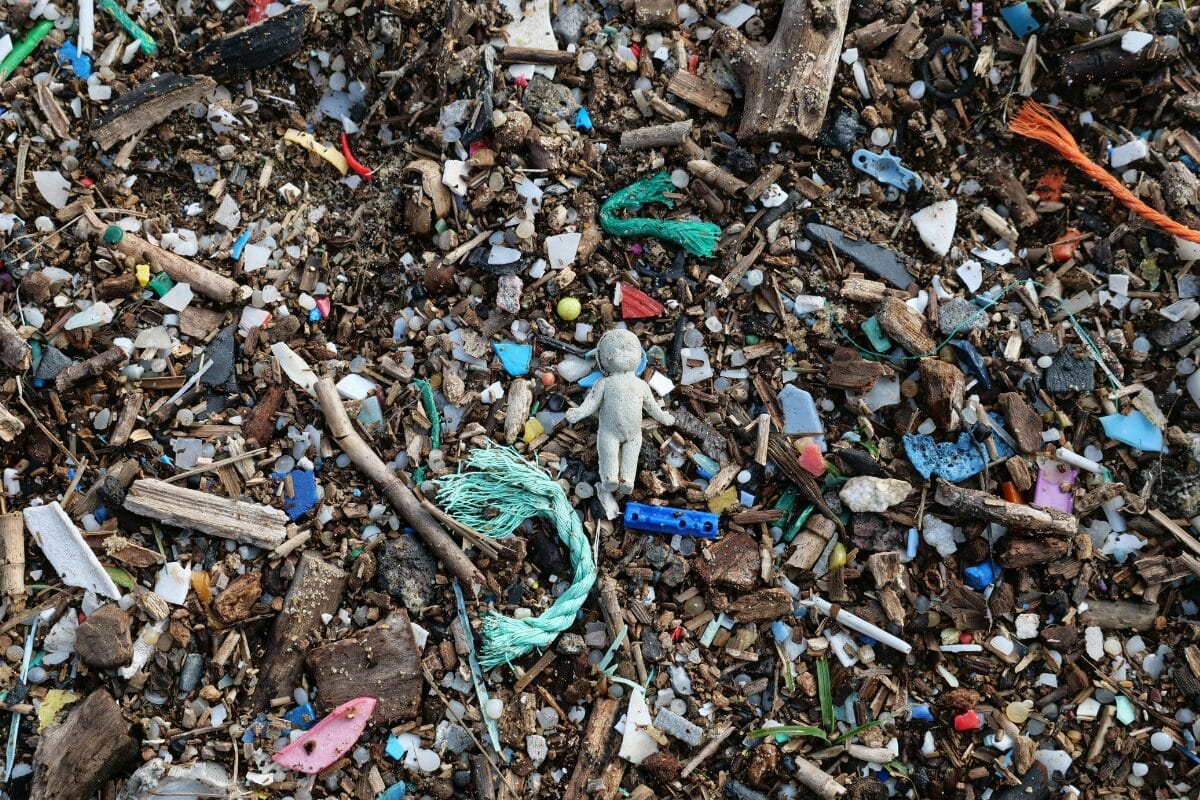 Microplastics-Its What’s On The Menu
